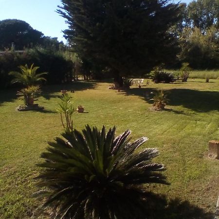 Mamena Bed & Breakfast Paestum Luaran gambar