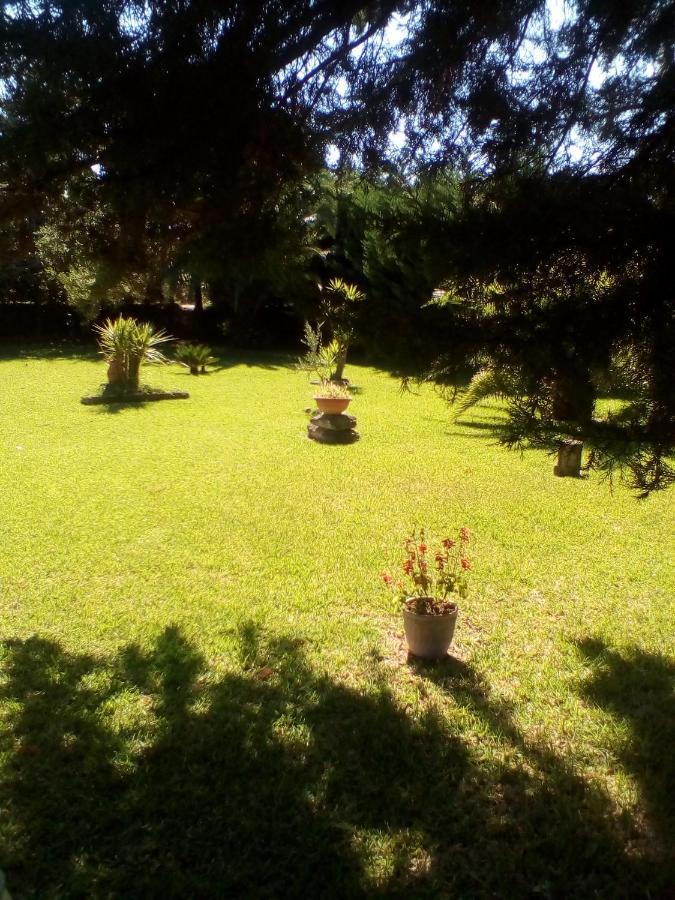 Mamena Bed & Breakfast Paestum Luaran gambar