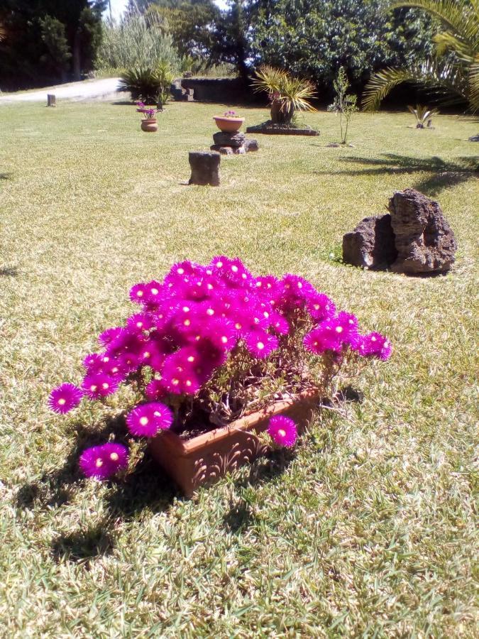 Mamena Bed & Breakfast Paestum Luaran gambar