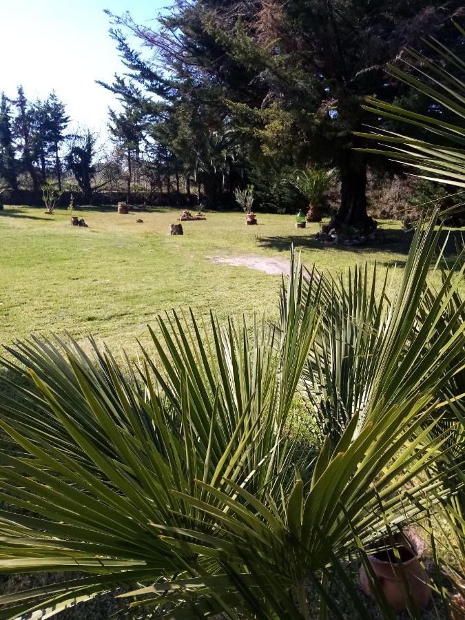 Mamena Bed & Breakfast Paestum Luaran gambar