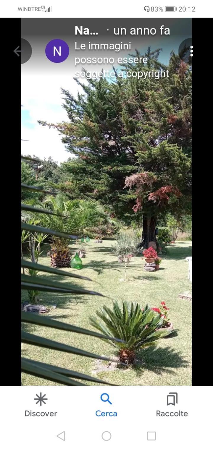 Mamena Bed & Breakfast Paestum Luaran gambar