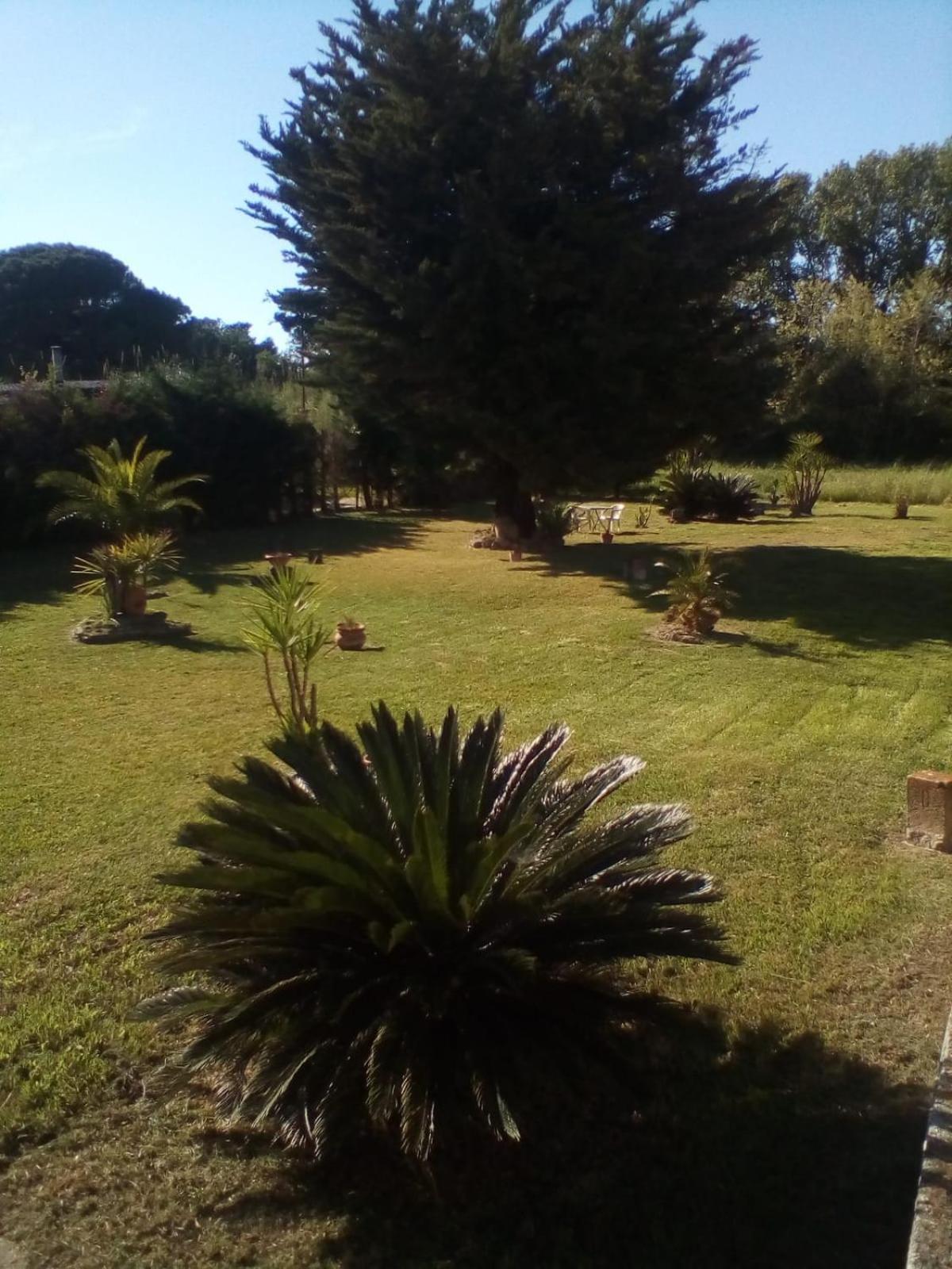 Mamena Bed & Breakfast Paestum Luaran gambar